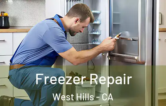  Freezer Repair West Hills - CA