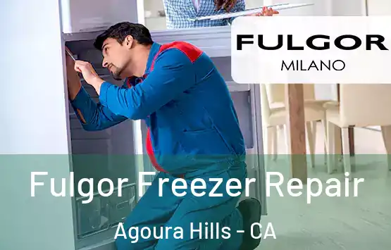  Fulgor Freezer Repair Agoura Hills - CA