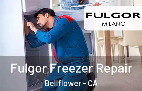  Fulgor Freezer Repair Bellflower - CA