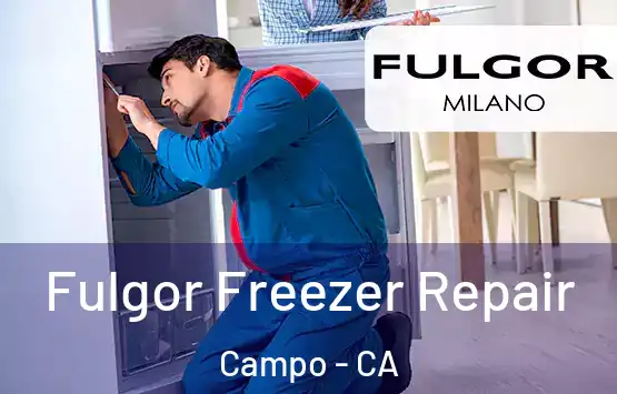  Fulgor Freezer Repair Campo - CA