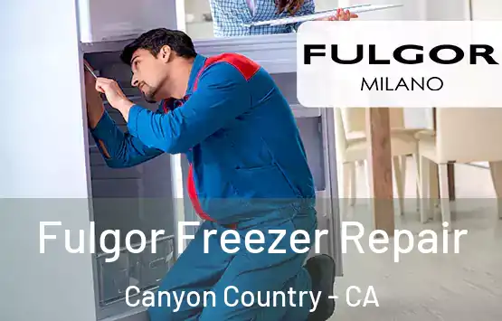  Fulgor Freezer Repair Canyon Country - CA