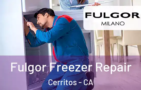  Fulgor Freezer Repair Cerritos - CA