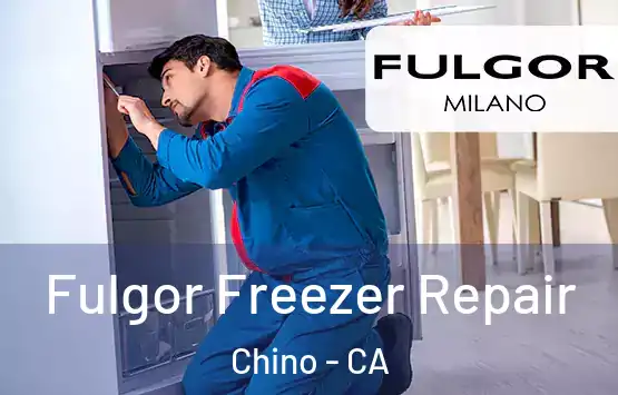  Fulgor Freezer Repair Chino - CA