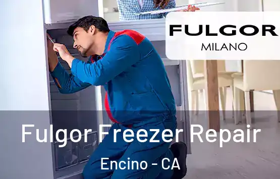  Fulgor Freezer Repair Encino - CA