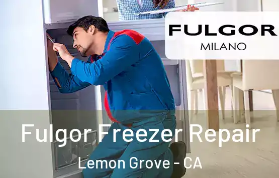  Fulgor Freezer Repair Lemon Grove - CA