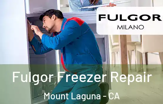  Fulgor Freezer Repair Mount Laguna - CA