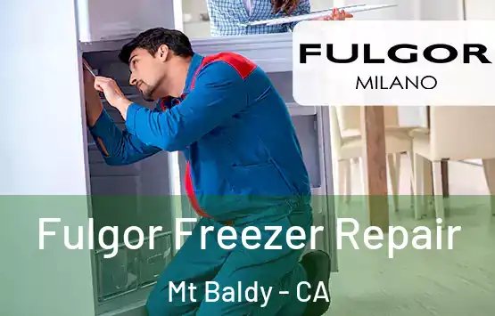  Fulgor Freezer Repair Mt Baldy - CA