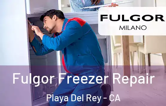  Fulgor Freezer Repair Playa Del Rey - CA