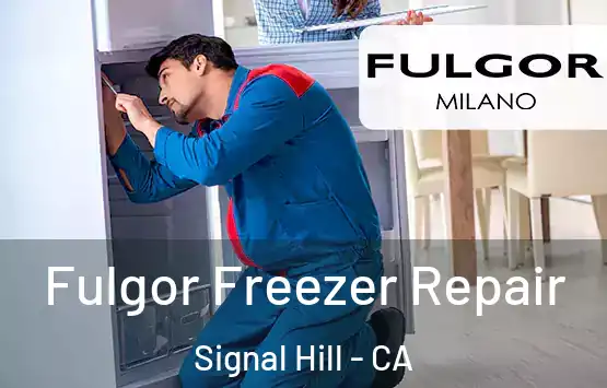  Fulgor Freezer Repair Signal Hill - CA