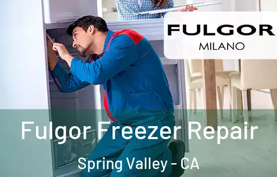  Fulgor Freezer Repair Spring Valley - CA