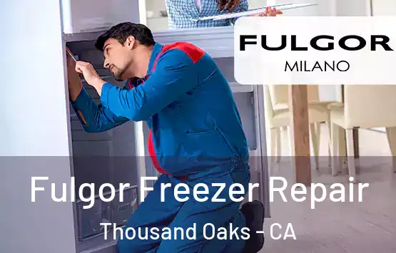  Fulgor Freezer Repair Thousand Oaks - CA