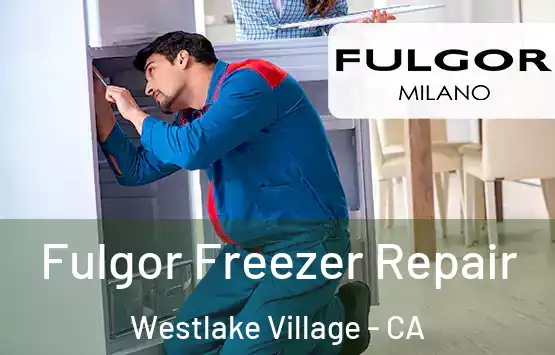  Fulgor Freezer Repair Westlake Village - CA