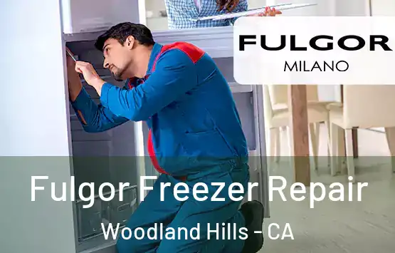  Fulgor Freezer Repair Woodland Hills - CA