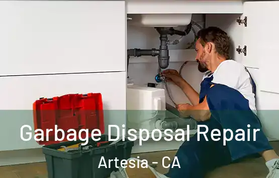  Garbage Disposal Repair Artesia - CA