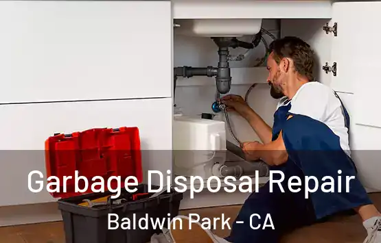  Garbage Disposal Repair Baldwin Park - CA