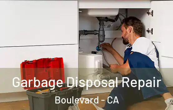  Garbage Disposal Repair Boulevard - CA
