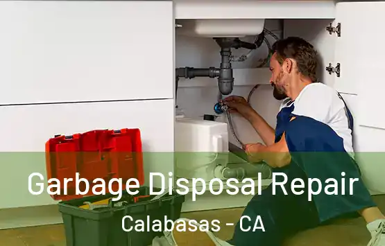  Garbage Disposal Repair Calabasas - CA