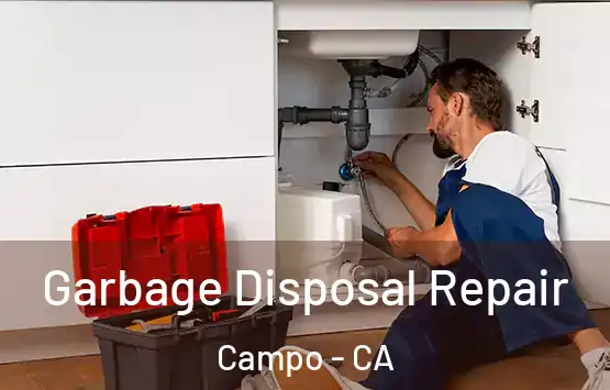  Garbage Disposal Repair Campo - CA