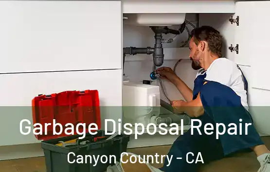  Garbage Disposal Repair Canyon Country - CA