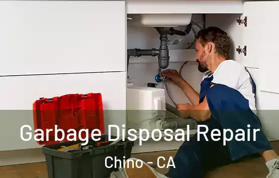  Garbage Disposal Repair Chino - CA