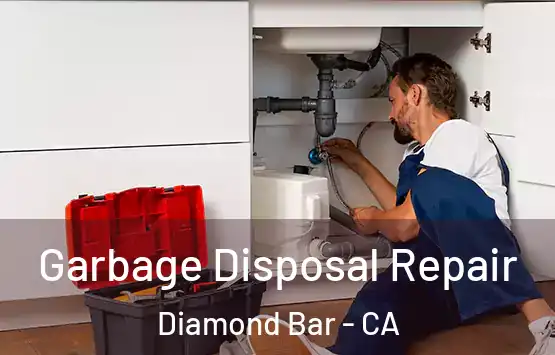  Garbage Disposal Repair Diamond Bar - CA