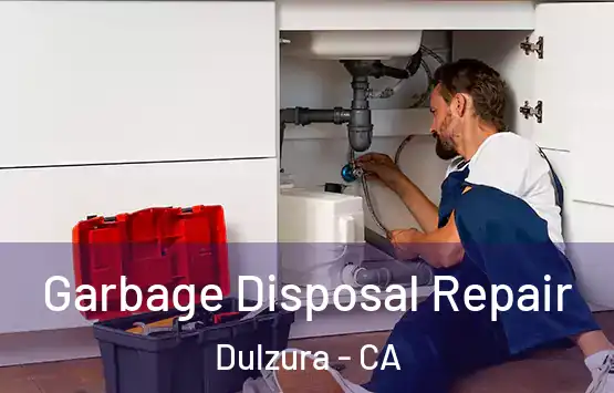  Garbage Disposal Repair Dulzura - CA