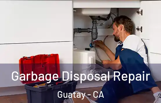  Garbage Disposal Repair Guatay - CA