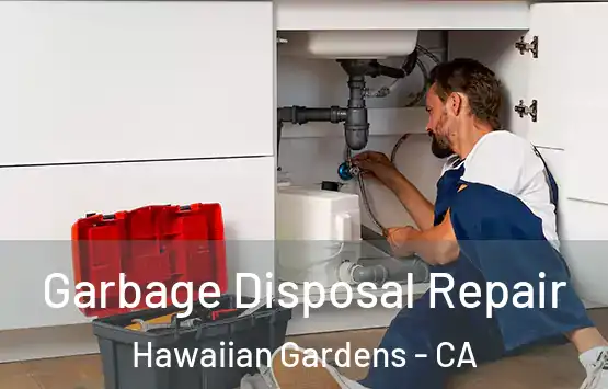  Garbage Disposal Repair Hawaiian Gardens - CA