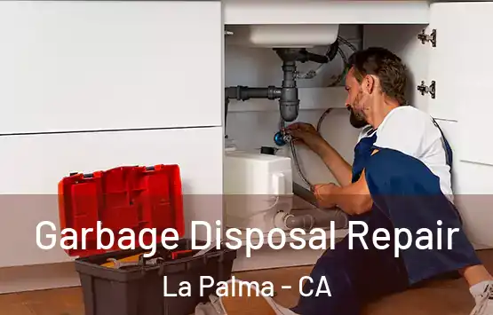  Garbage Disposal Repair La Palma - CA