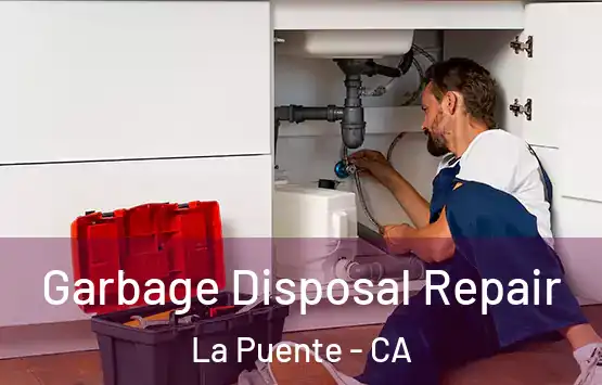  Garbage Disposal Repair La Puente - CA