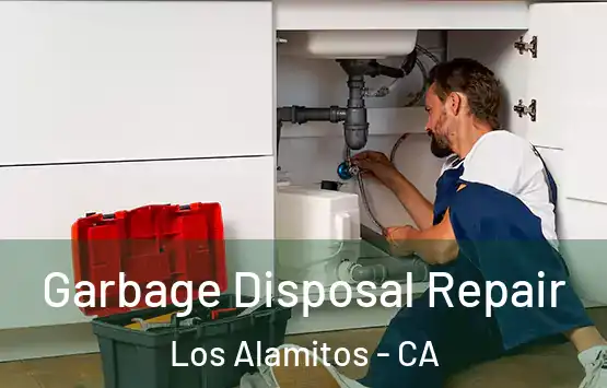  Garbage Disposal Repair Los Alamitos - CA