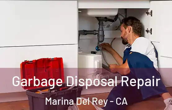  Garbage Disposal Repair Marina Del Rey - CA
