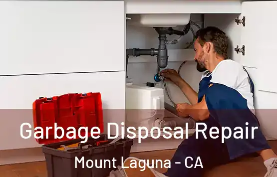  Garbage Disposal Repair Mount Laguna - CA