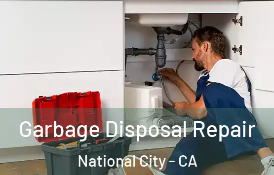  Garbage Disposal Repair National City - CA