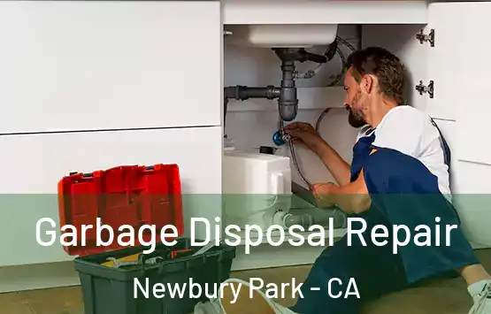  Garbage Disposal Repair Newbury Park - CA