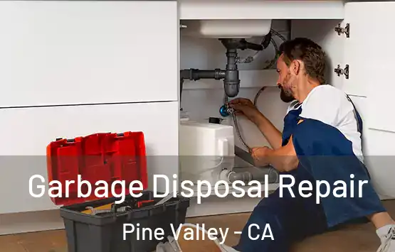  Garbage Disposal Repair Pine Valley - CA