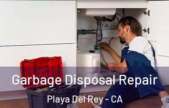  Garbage Disposal Repair Playa Del Rey - CA