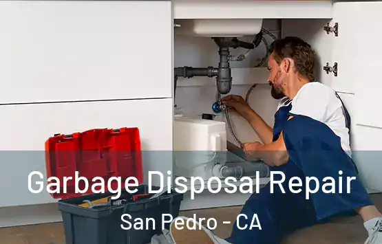 Garbage Disposal Repair San Pedro - CA