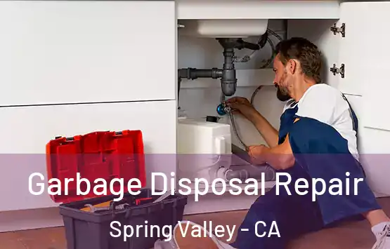  Garbage Disposal Repair Spring Valley - CA