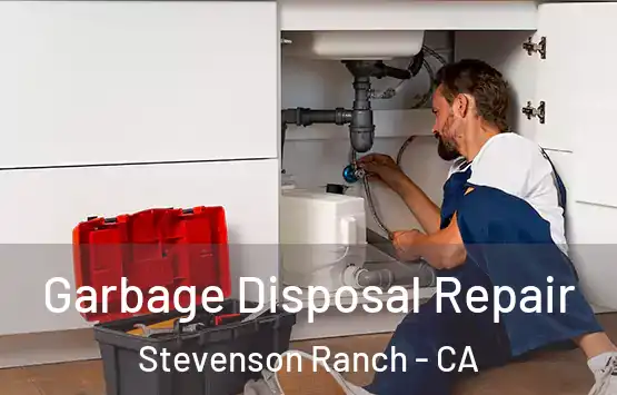  Garbage Disposal Repair Stevenson Ranch - CA