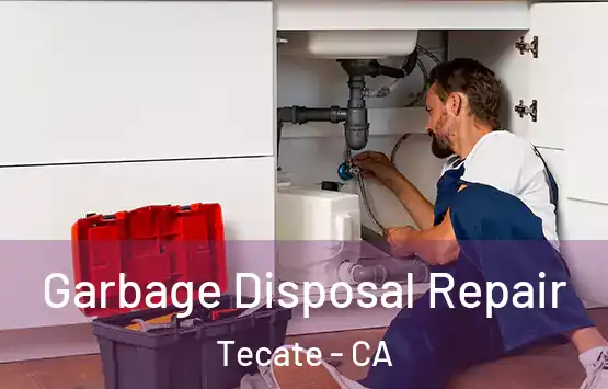  Garbage Disposal Repair Tecate - CA