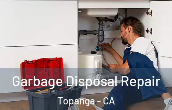  Garbage Disposal Repair Topanga - CA