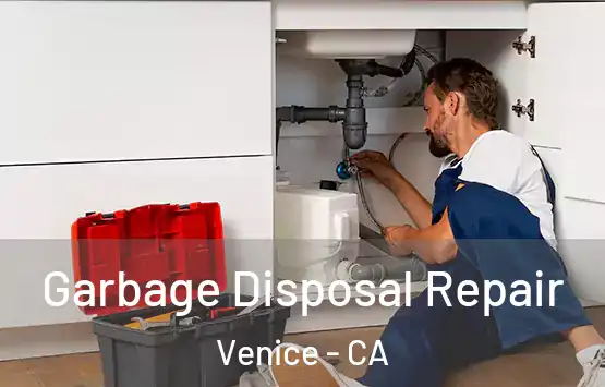  Garbage Disposal Repair Venice - CA