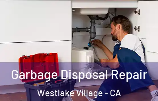  Garbage Disposal Repair Westlake Village - CA
