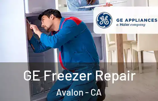  GE Freezer Repair Avalon - CA