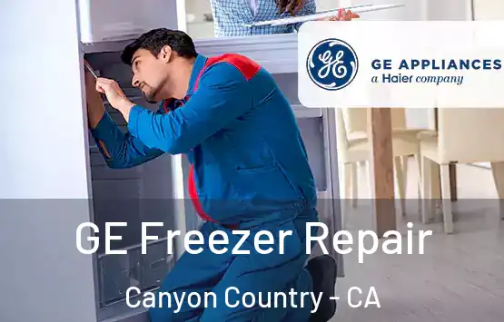  GE Freezer Repair Canyon Country - CA