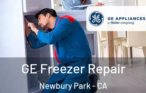  GE Freezer Repair Newbury Park - CA