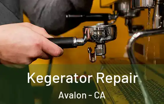  Kegerator Repair Avalon - CA