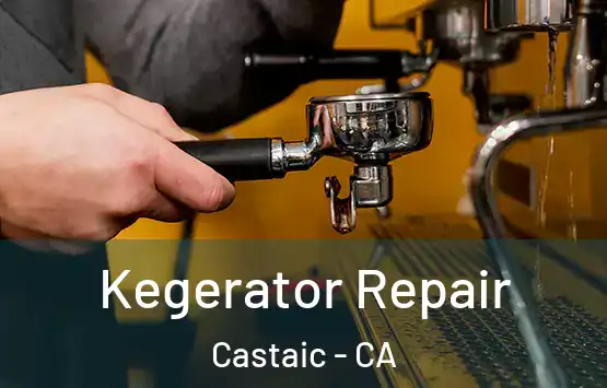  Kegerator Repair Castaic - CA