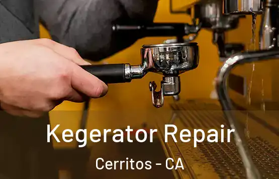  Kegerator Repair Cerritos - CA